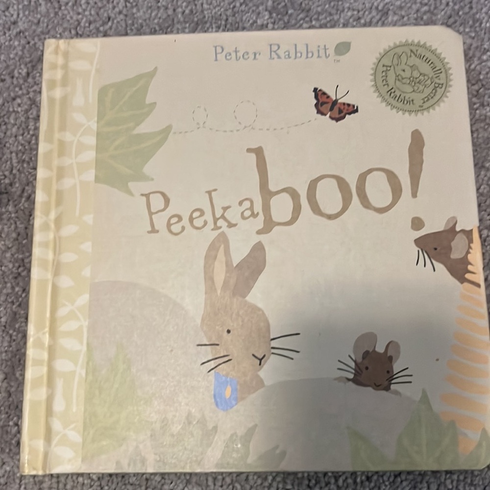 Easter Basket Bundle- Pat the Bunny and Peter Rabbit Peek a boo books - Picture 7 of 11